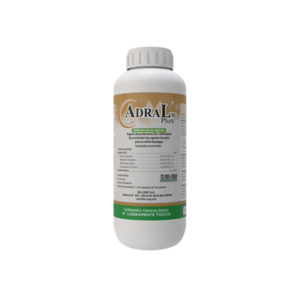 INSECTICIDA
