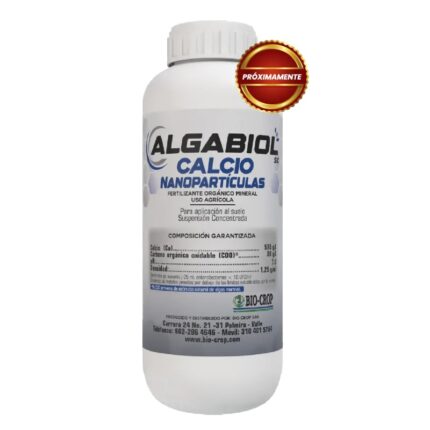 ALGABIOL CALCIO sc