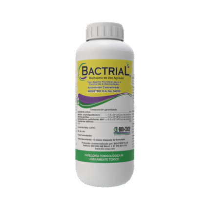 BACTRIAL sc