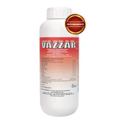 VAZZAR plus s.l