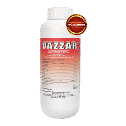 VAZZAR plus s.l