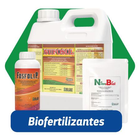 Biofertilizantes