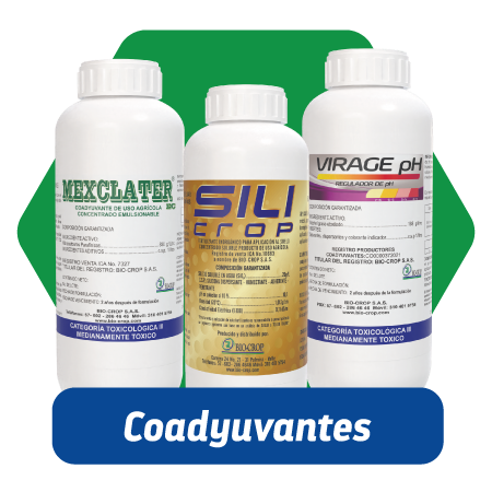 Coadyuvantes