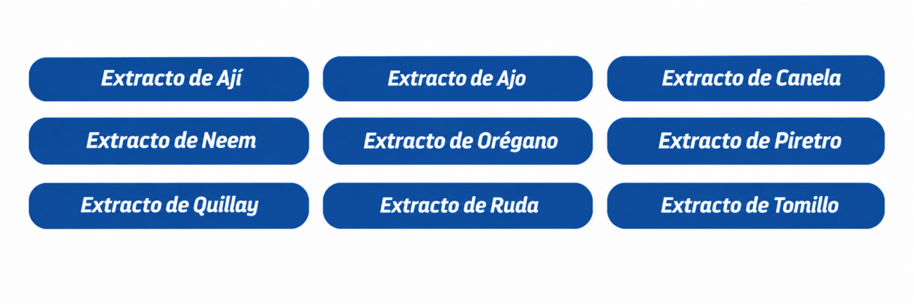 MAQUILA EXTRACTOS VEGETALES